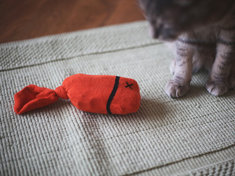 The 10 Best Homemade Cat Toys Your Cat Will Love