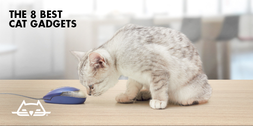 The 8 Best Cat Gadgets