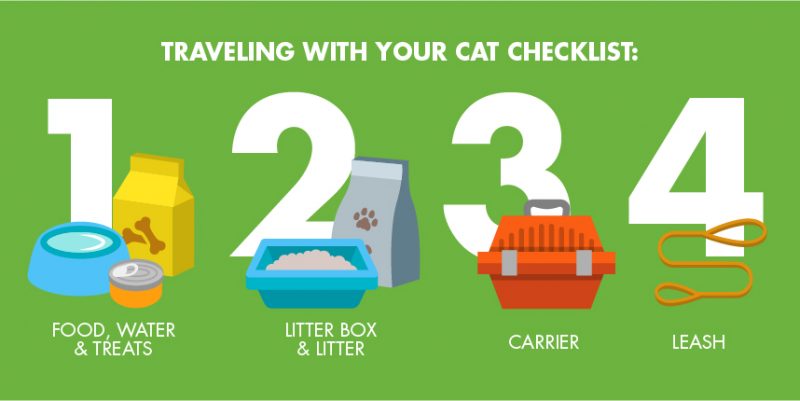 requirements for cat travel