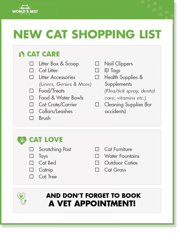 New Cat Shopping List | What to Buy Before You Adopt